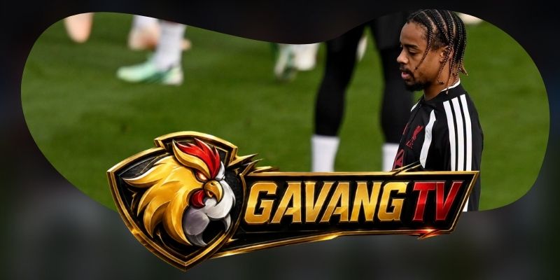 Gợi ý chốt kèo tổng hợp trận Brentford vs Liverpool ngày 17/10